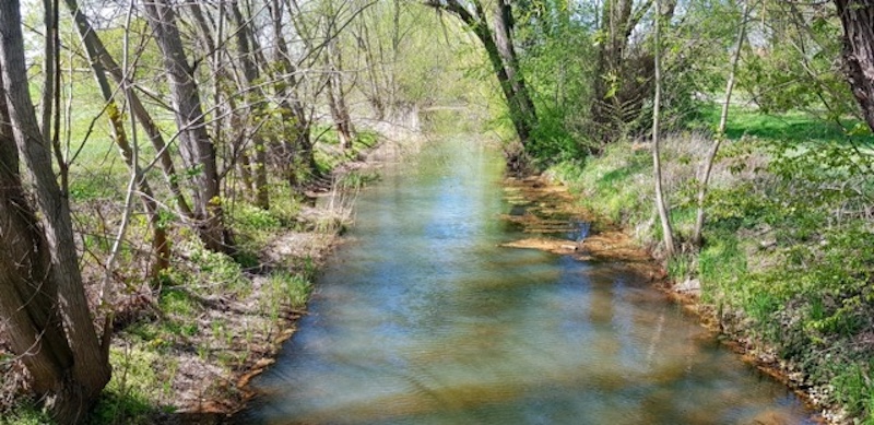 Flüsschen Lober in der Loberaue Flüsschen Lober in der Loberaue