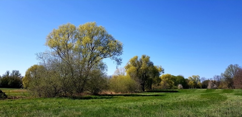 Loberaue am Tierpark Delitzsch Loberaue am Tierpark Delitzsch